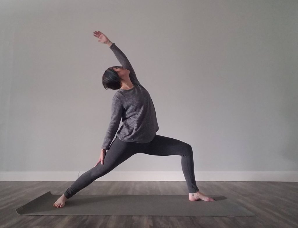 Yoga in Venice, FL
